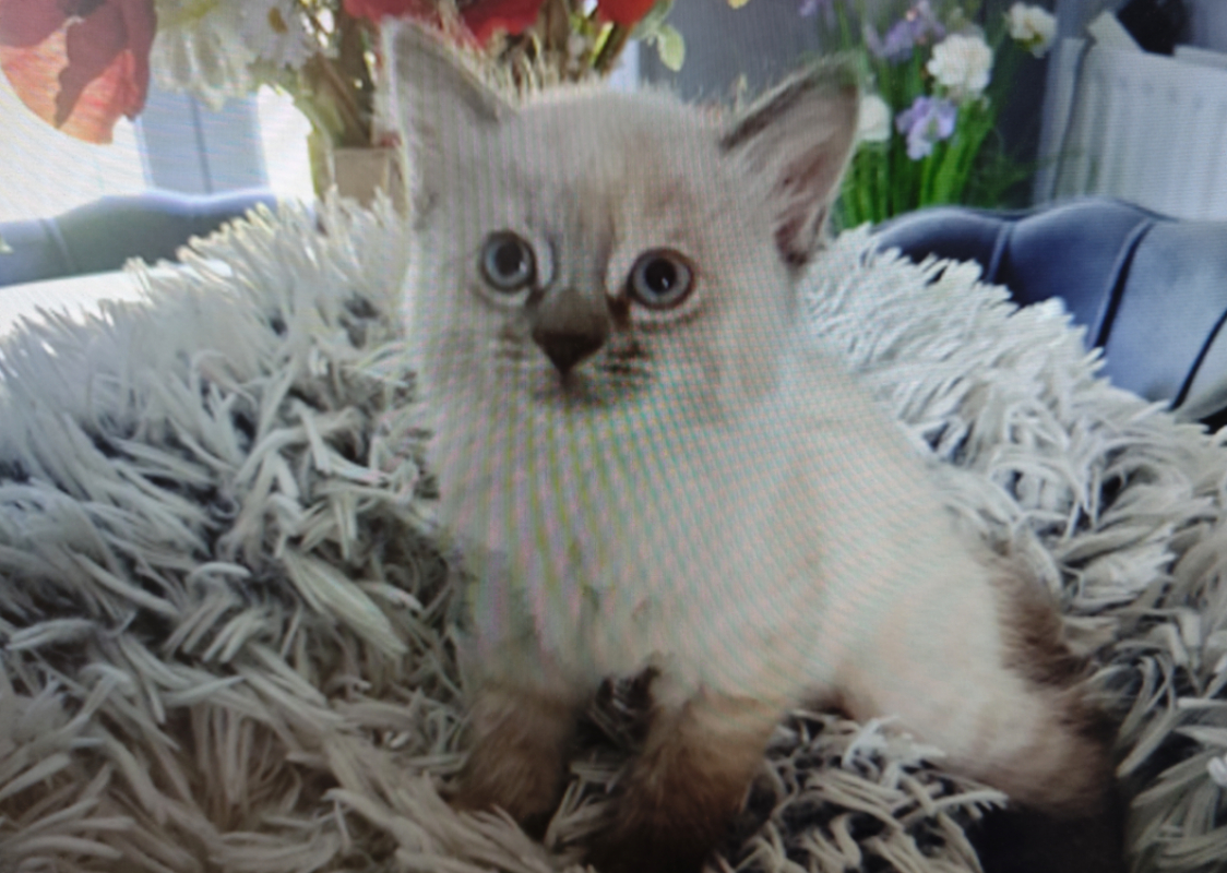 Photo de Lola