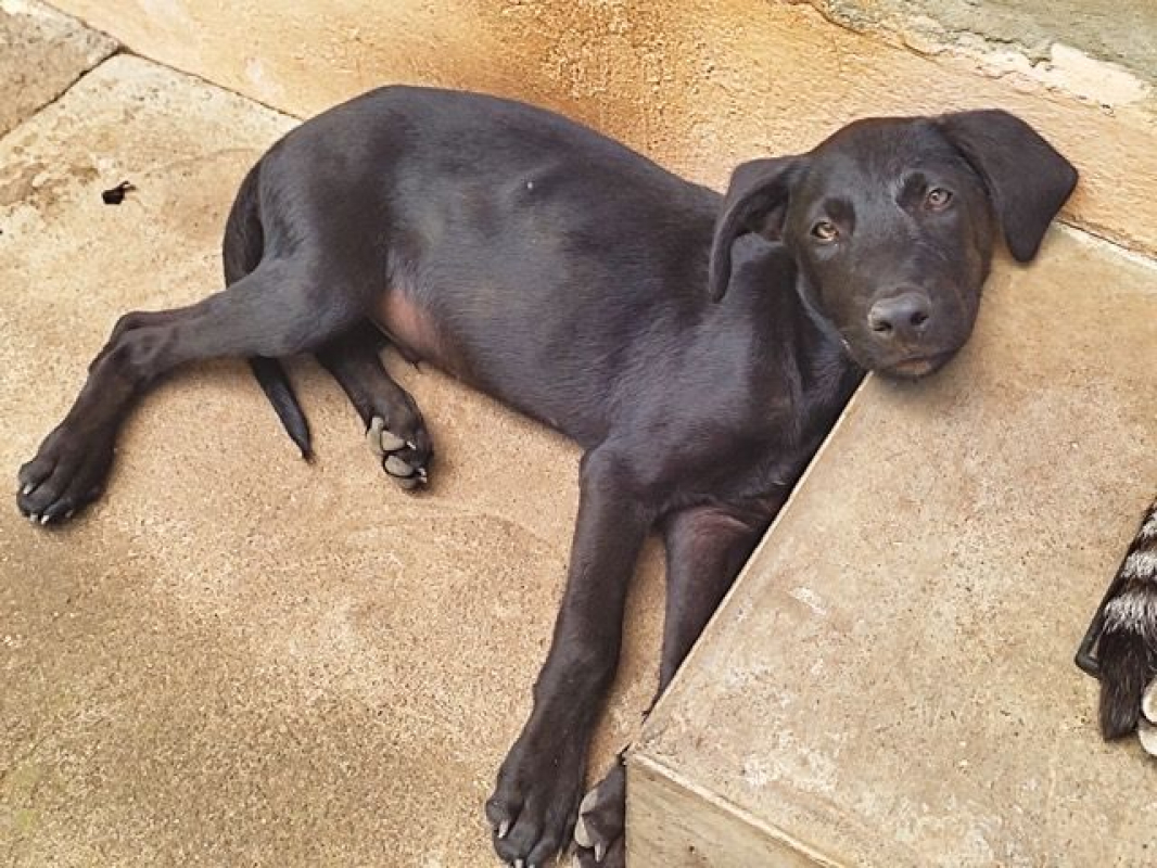 Photo #6 de BOUBA