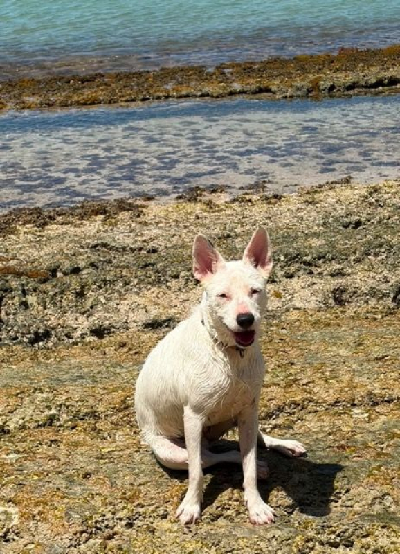 Photo #3 de LOLA