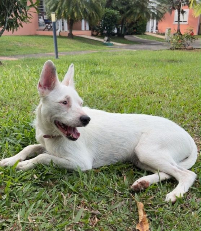 Photo #1 de LOLA