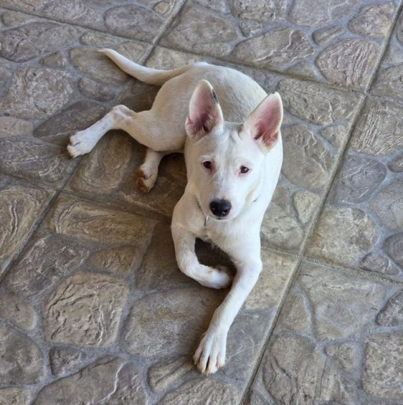Photo #2 de LOLA