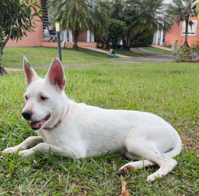 Photo #7 de LOLA