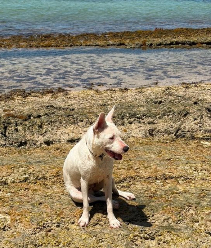 Photo #5 de LOLA