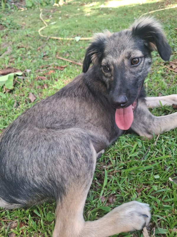 Photo #5 de MAHÉ