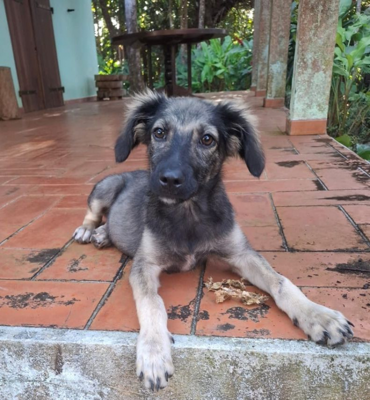 Photo #7 de MAHÉ