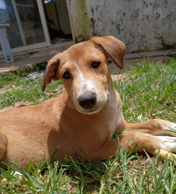 Photo #4 de NILO