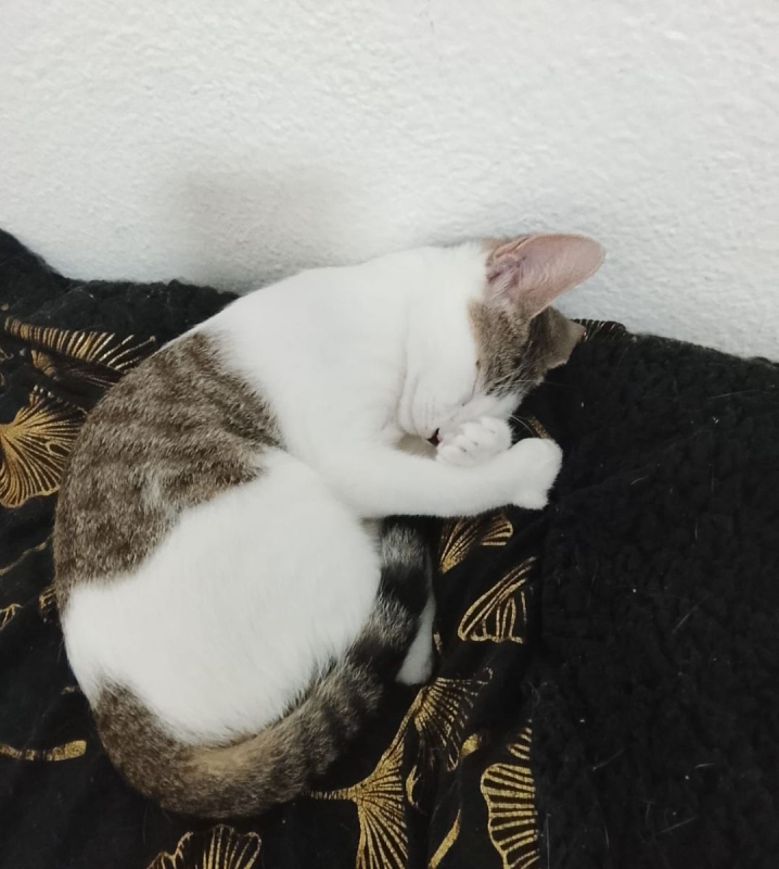 Photo #7 de TWIX