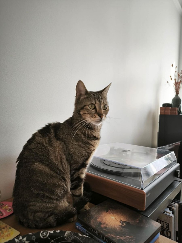 Photo #3 de Illy