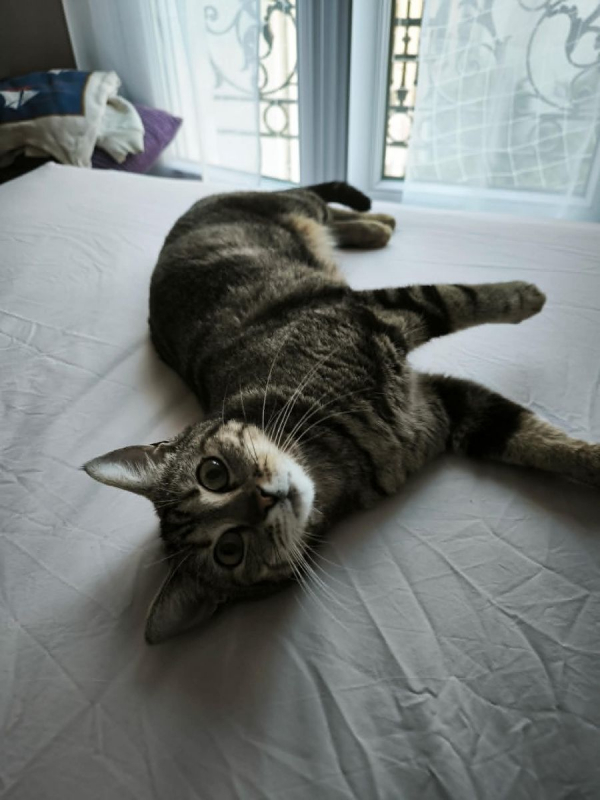 Photo #2 de Illy
