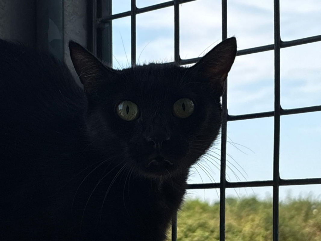 Photo de Zara