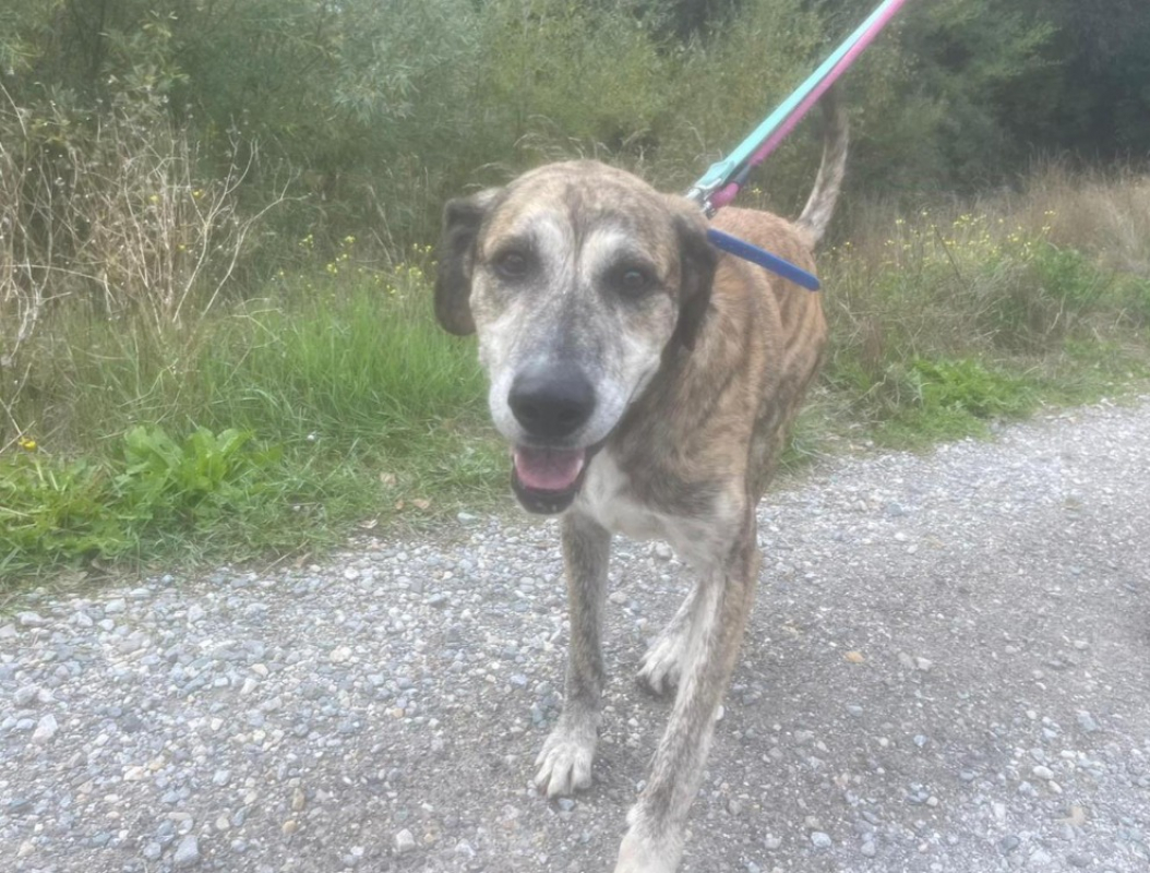 Photo #2 de Hutch cn