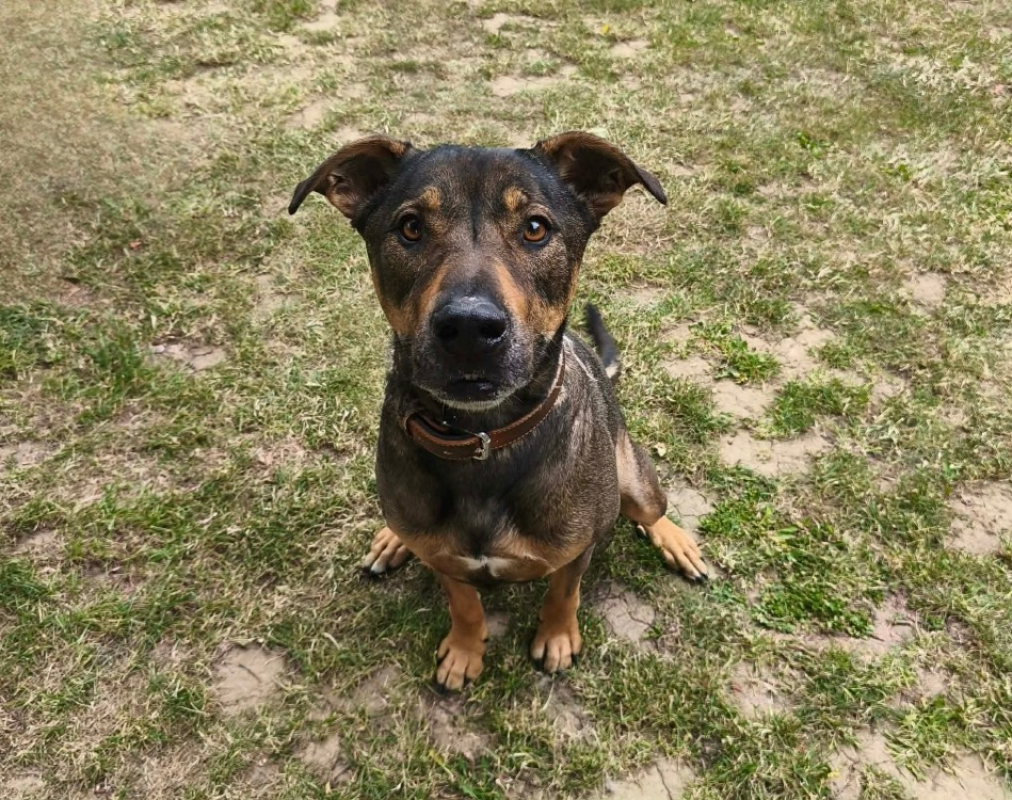 Photo de Thor