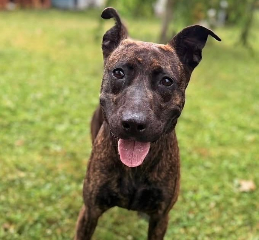 Photo de Samba
