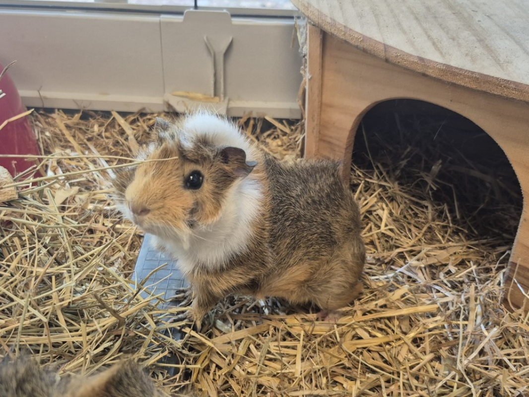 Photo #2 de Bouygues