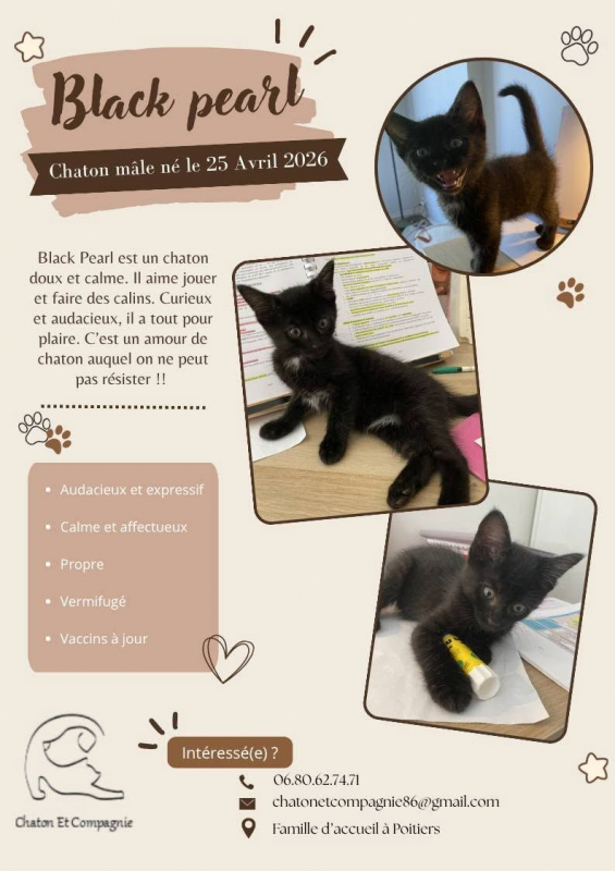 Photo de Black Pearl