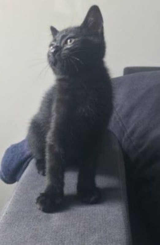 Photo #1 de Moka