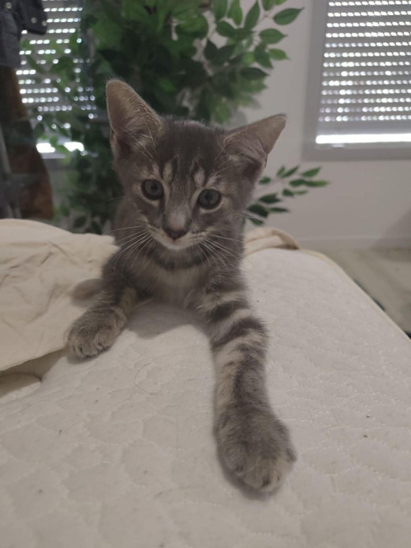 Photo #2 de O'Malley