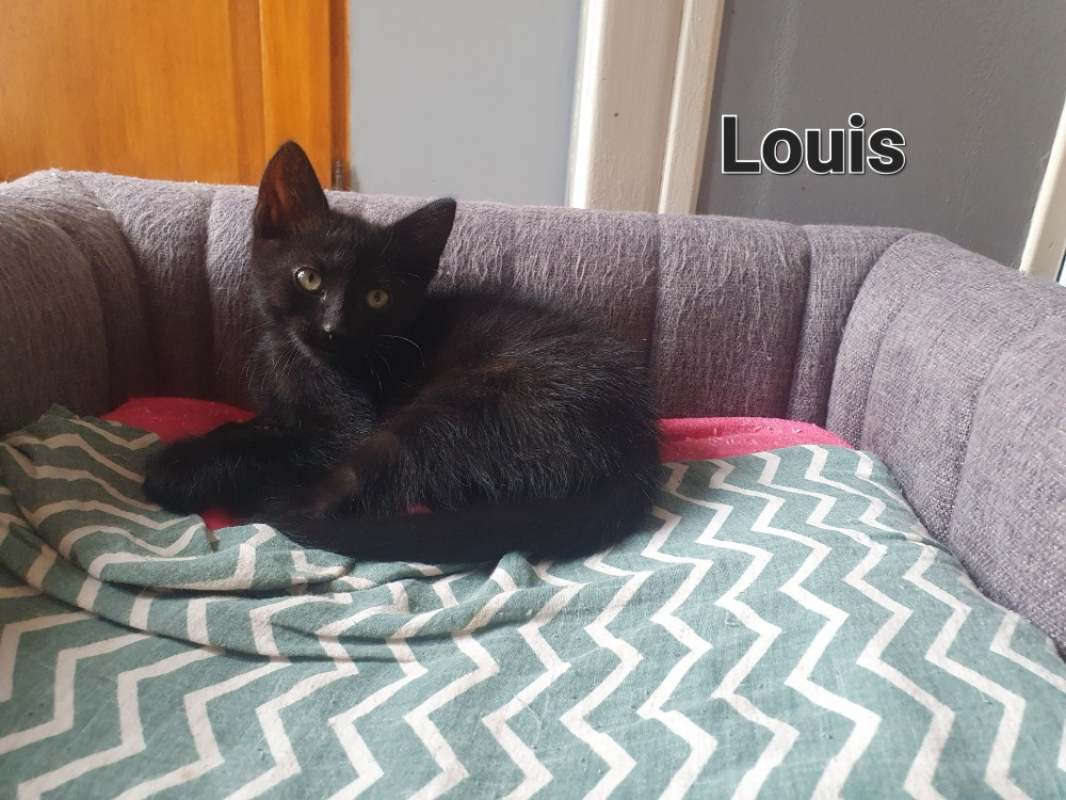 Photo de Louis