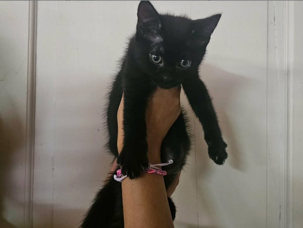 Photo de A_nommer