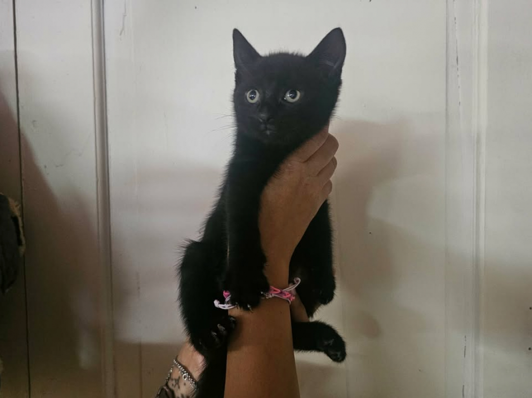 Photo de Oscar