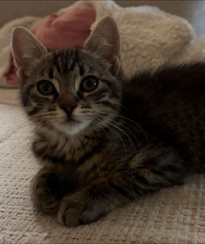 Photo #1 de Fiona