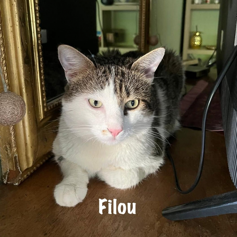 Photo #3 de FILOU