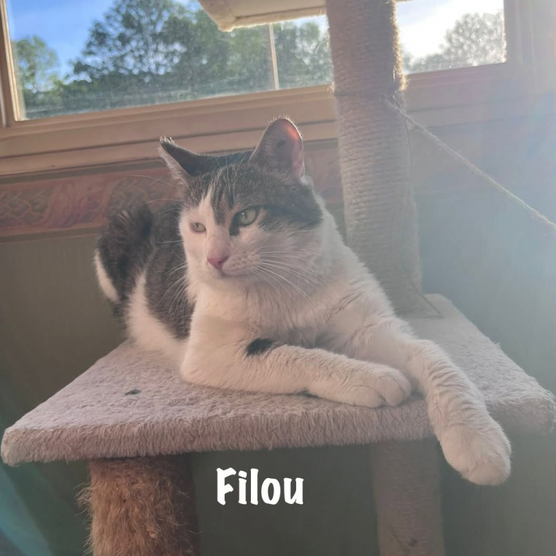 Photo #5 de FILOU