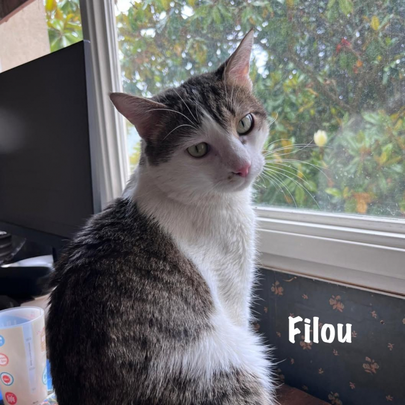 Photo #7 de FILOU
