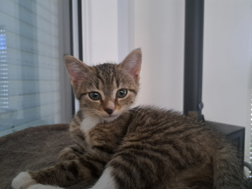 Photo #3 de Censy