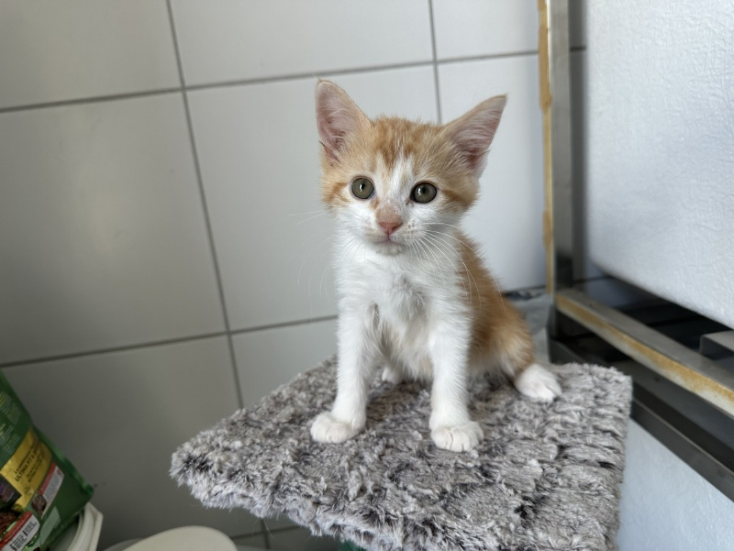 Photo de Mia