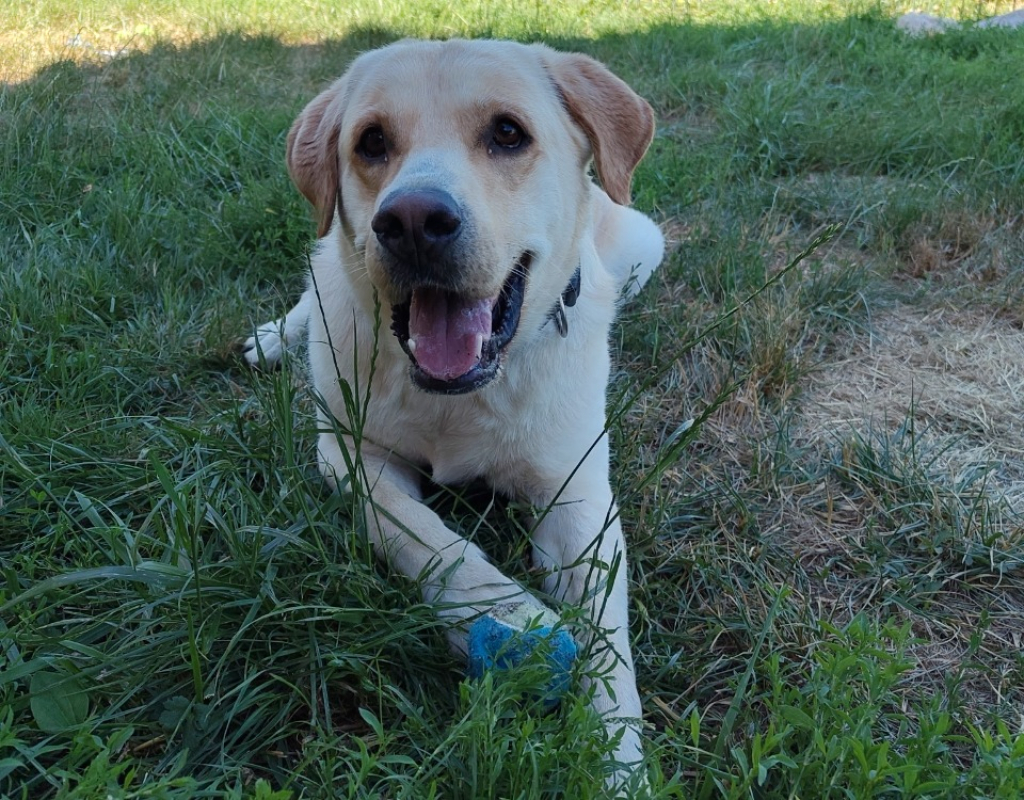Photo #3 de Samy