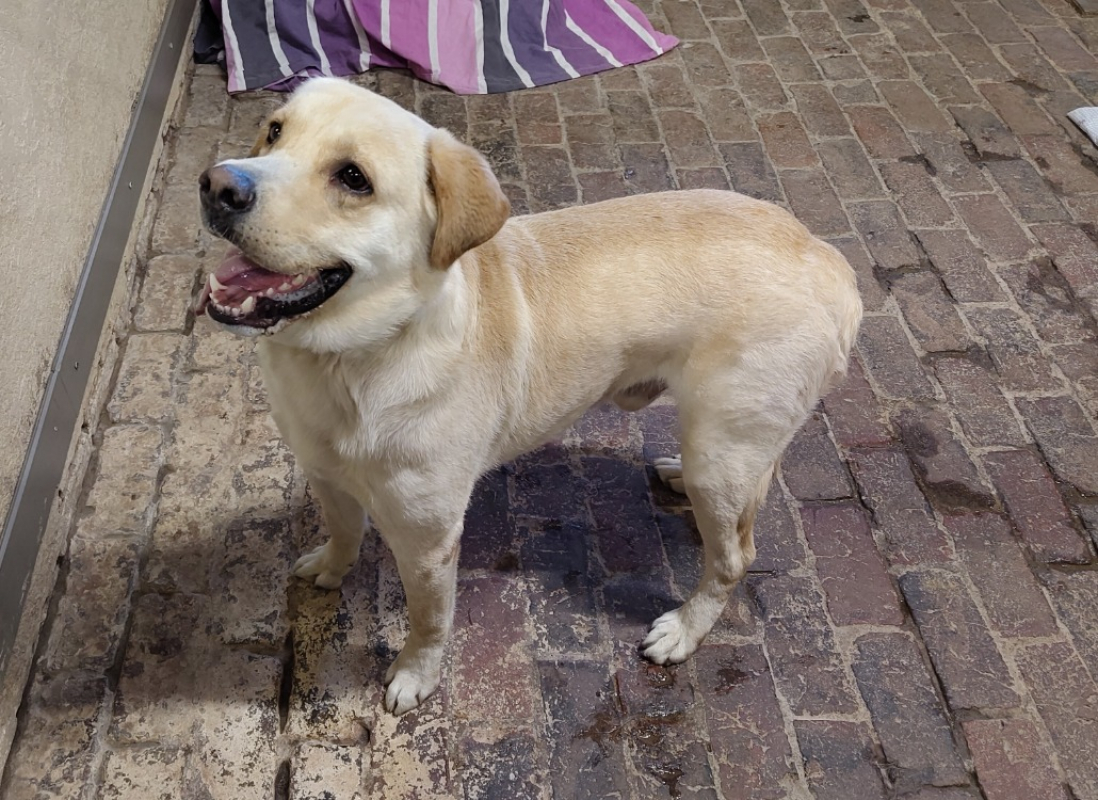 Photo #5 de Samy