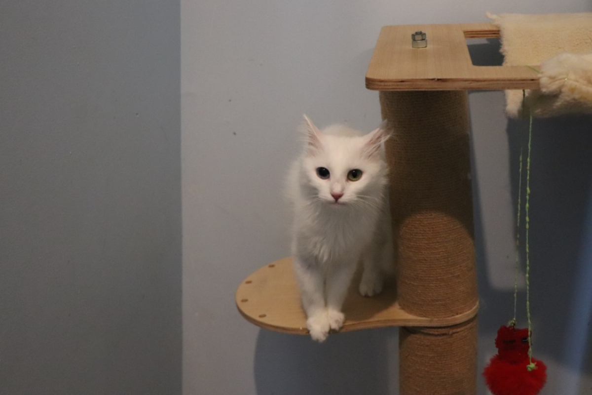 Photo #2 de Marie