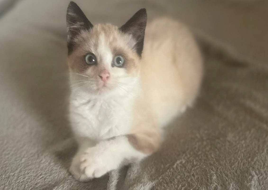 Photo de Yuki