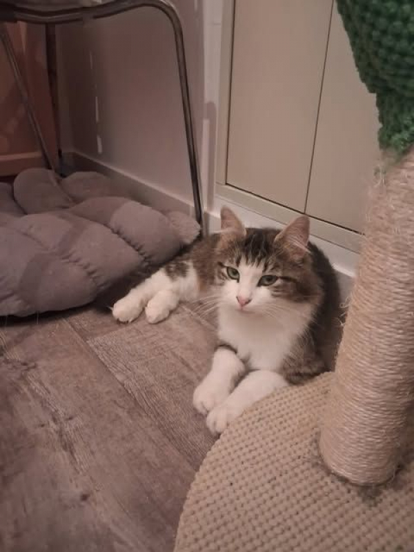 Photo de DUCHESSE