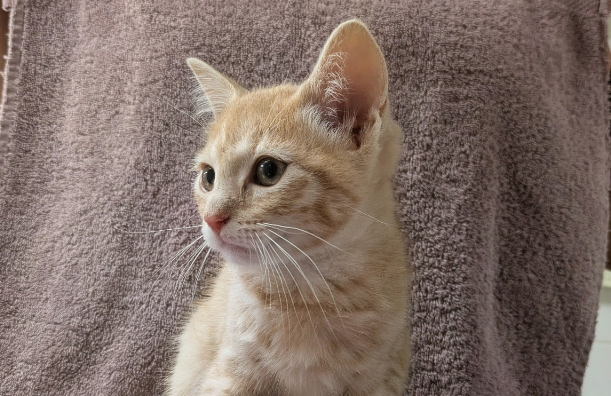 Photo de Sandy