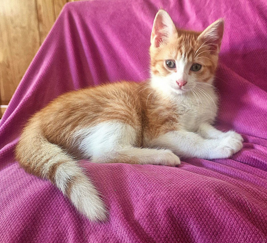 Photo #5 de BLINKY