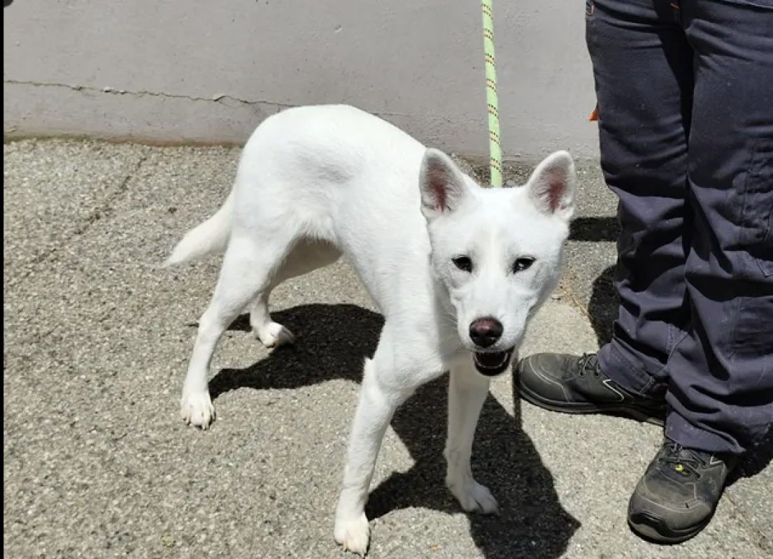 Photo #2 de Elsa