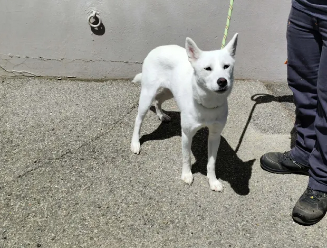 Photo #4 de Elsa