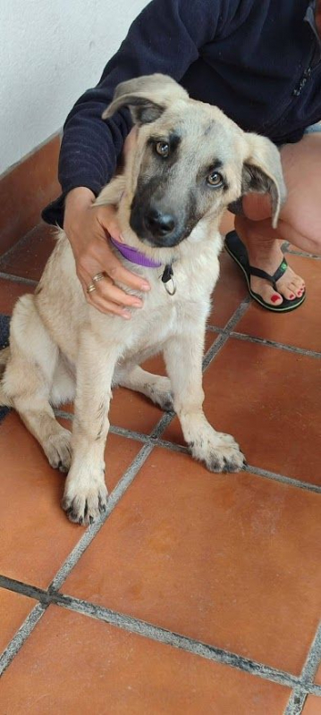Photo #2 de TACA