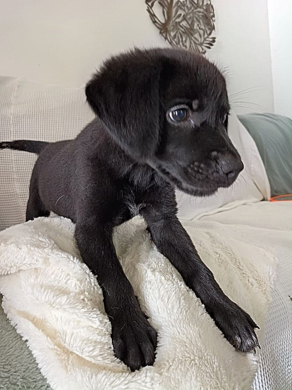 Photo #3 de WILMA