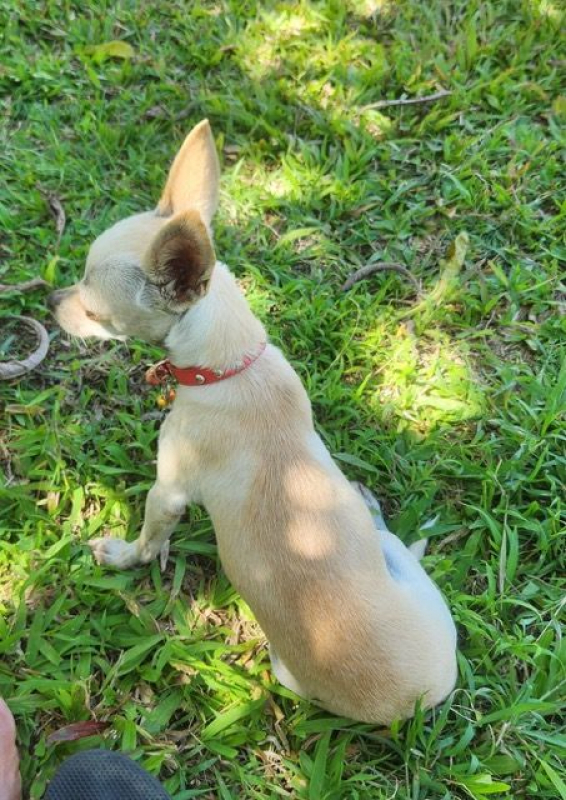 Photo #4 de RUBY