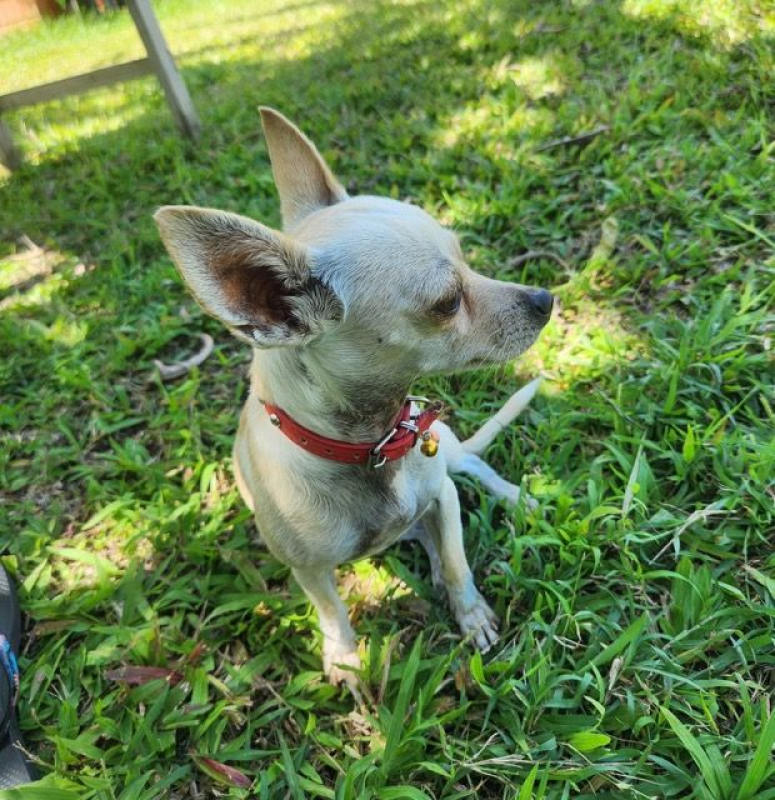 Photo #3 de RUBY