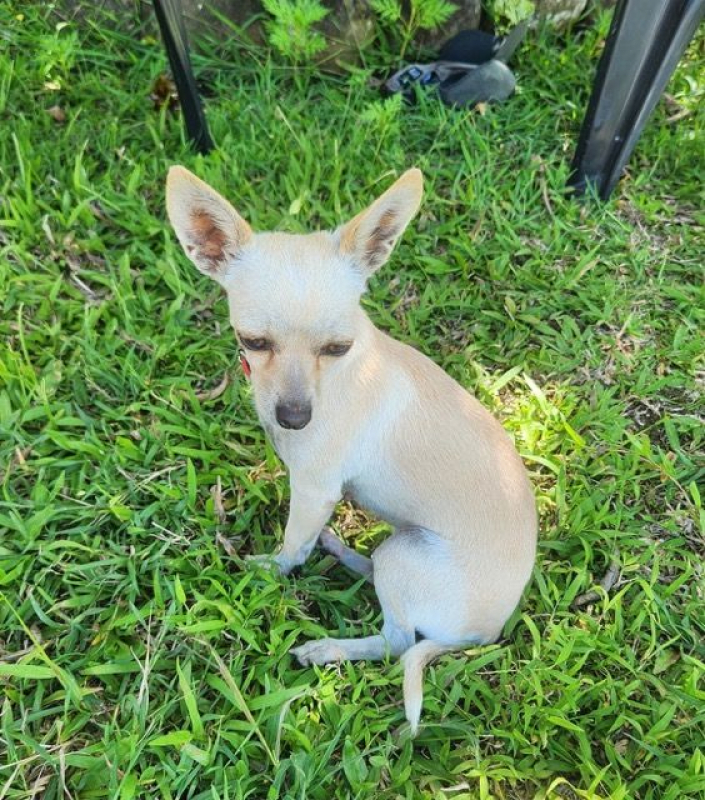 Photo #2 de RUBY