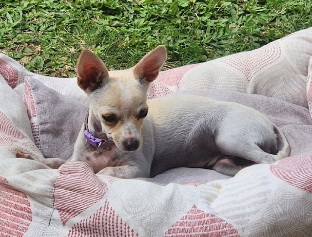 Photo #1 de RUBY