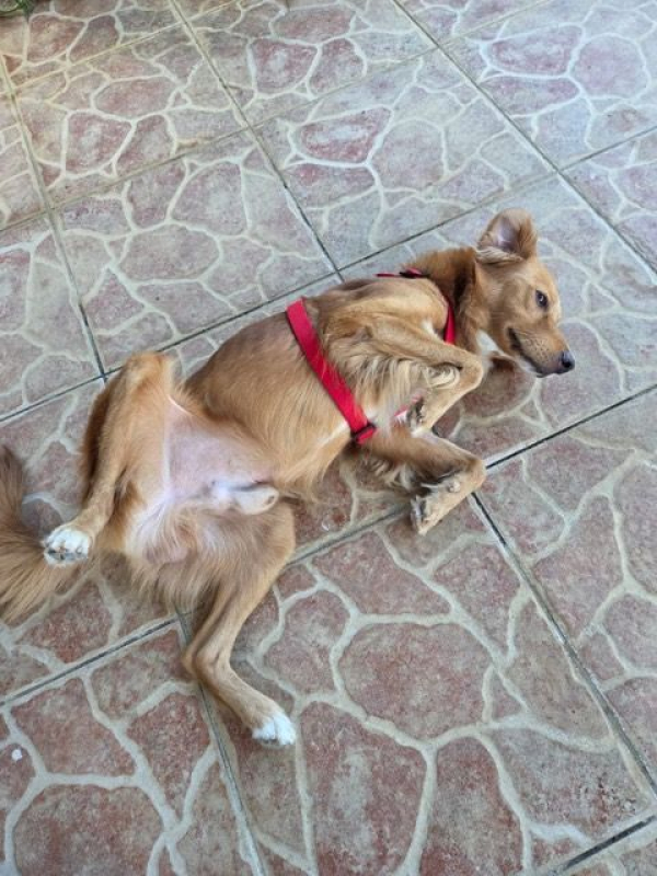 Photo #5 de ROMEO