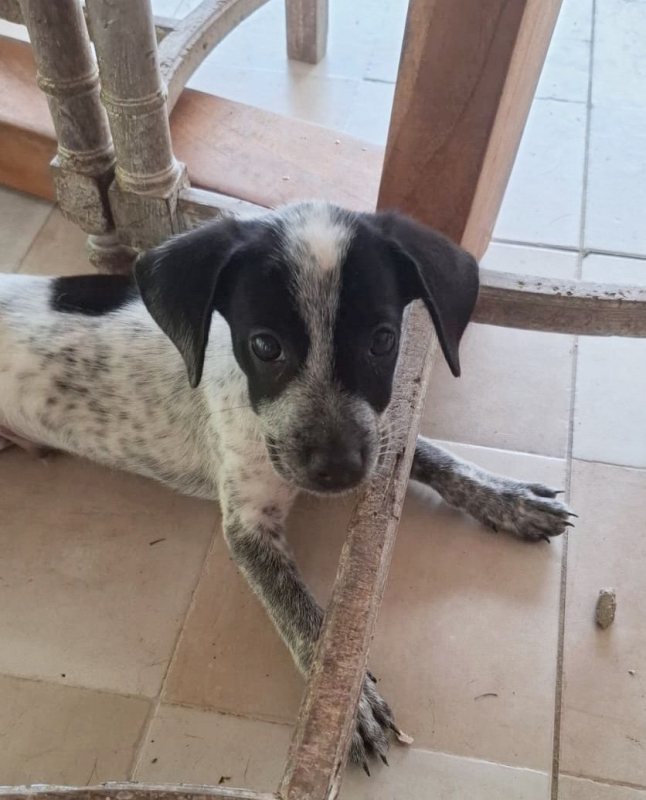 Photo #3 de MILOU
