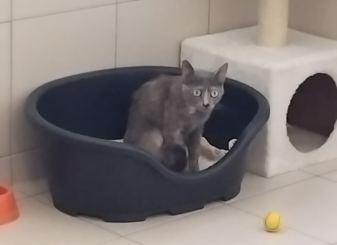 Photo de Mimi