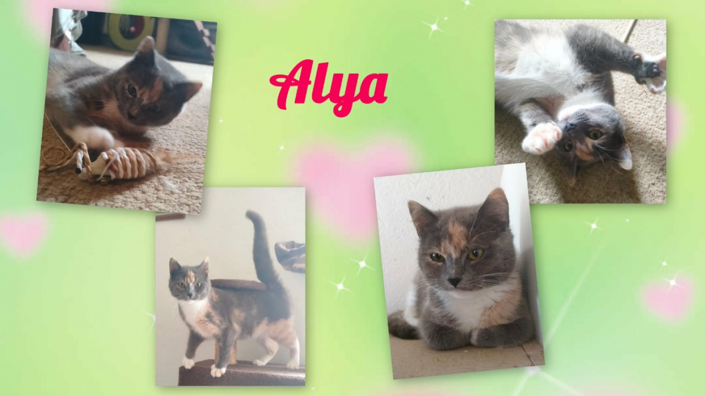 Photo #1 de Alya
