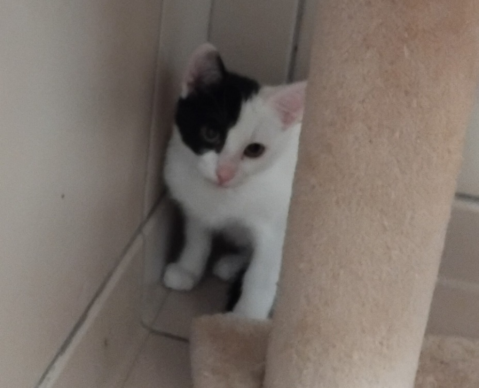 Photo de Bayla